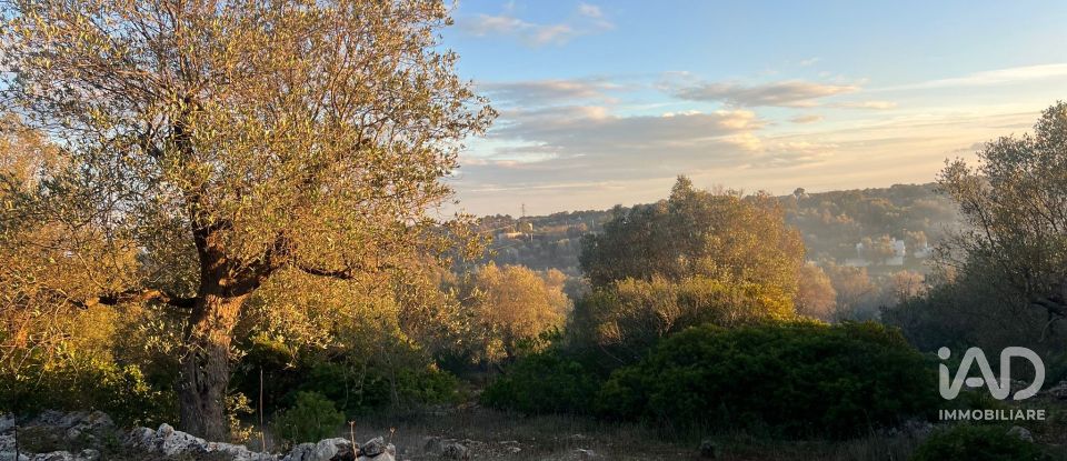 Horses property 2 rooms of 35 m² in Ostuni (72017)