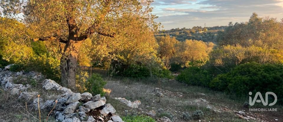 Horses property 2 rooms of 35 m² in Ostuni (72017)