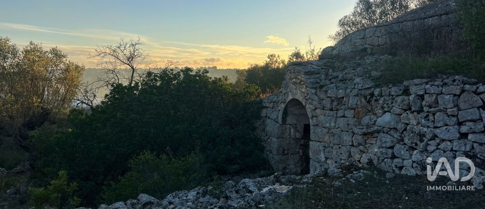 Horses property 2 rooms of 35 m² in Ostuni (72017)