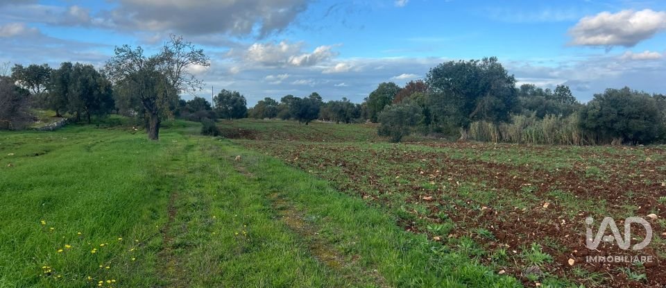 Trullo 1 locale di 40 m² in Martina Franca (74015)