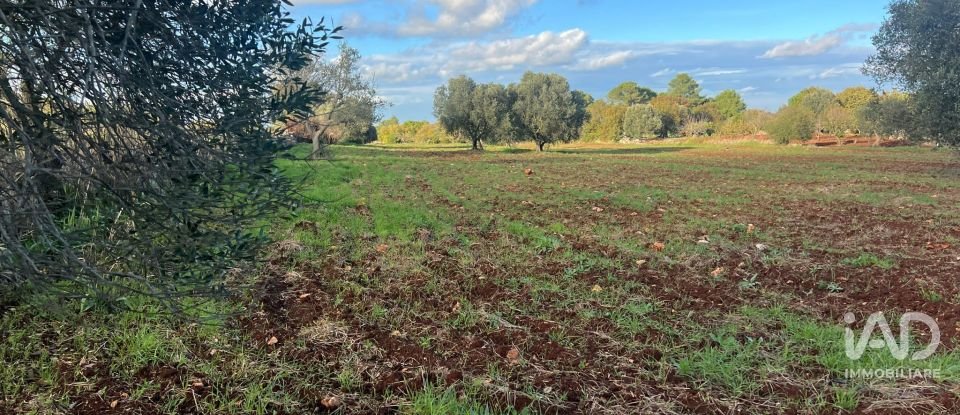 Trullo 1 locale di 40 m² in Martina Franca (74015)