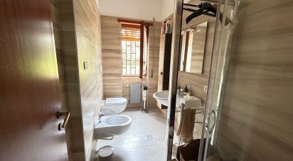 Laboratorio 3 locali di 70 m² a Caserta (81022)