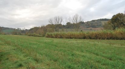 Terreno di 150.000 m² in Fano (61032)