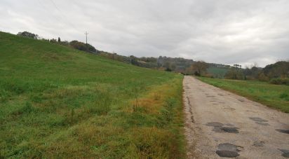 Terreno di 150.000 m² in Fano (61032)