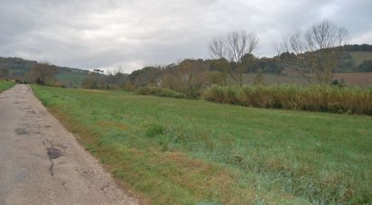 Terreno di 150.000 m² in Fano (61032)
