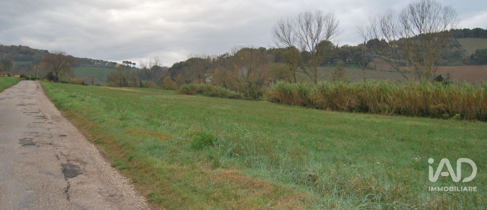 Terreno di 150.000 m² in Fano (61032)