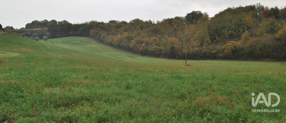 Terreno di 150.000 m² in Fano (61032)