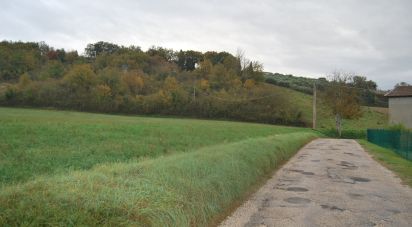 Terreno di 150.000 m² in Fano (61032)