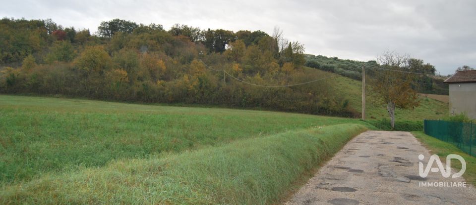 Terreno di 150.000 m² in Fano (61032)