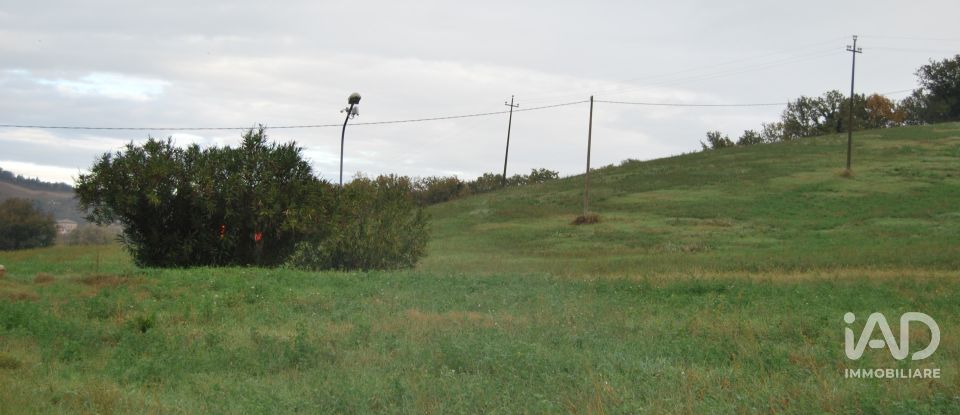 Terreno di 150.000 m² in Fano (61032)