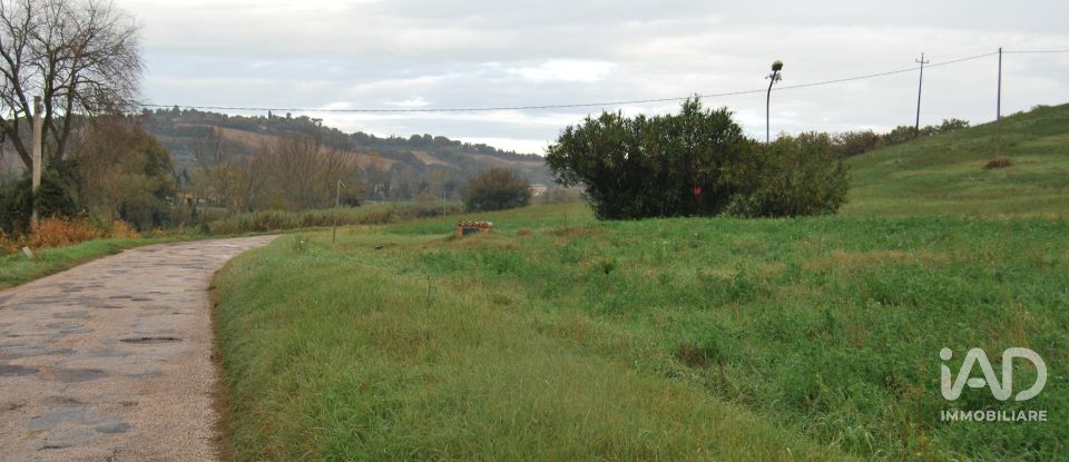 Terreno di 150.000 m² in Fano (61032)