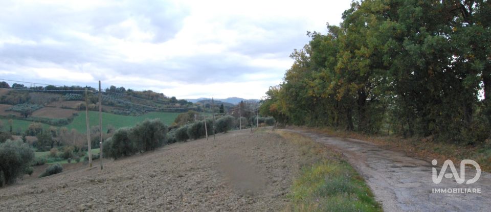 Terreno di 150.000 m² in Fano (61032)
