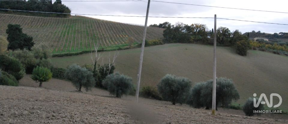 Terreno di 150.000 m² in Fano (61032)