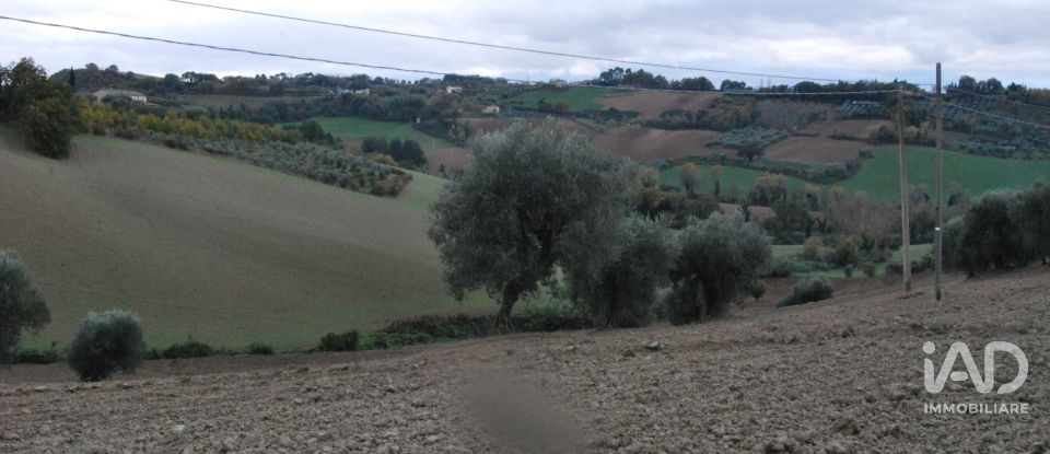 Terreno di 150.000 m² in Fano (61032)