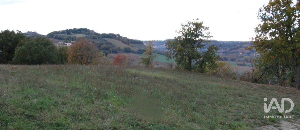 Terreno di 150.000 m² in Fano (61032)