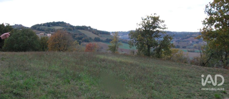 Terreno di 150.000 m² in Fano (61032)