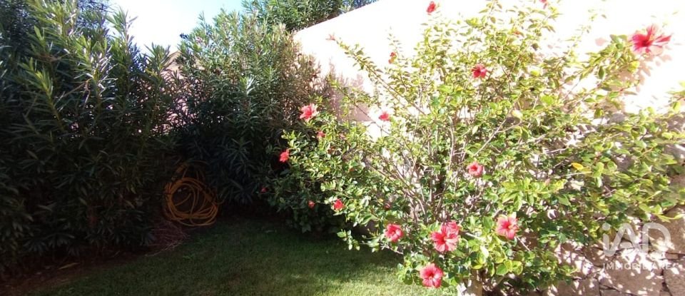 Casa indipendente / Villa 3 locali di 72 m² in Arzachena (07021)