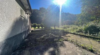 Pizzeria di 200 m² in Maissana (19010)