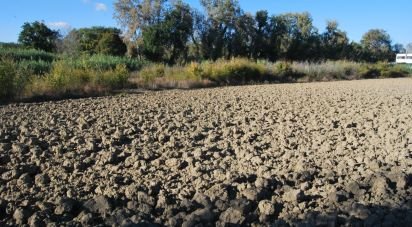Terreno di 10.000 m² in Senigallia (60019)