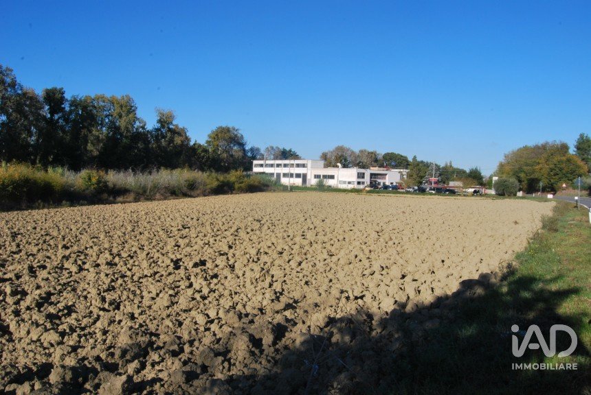 Terreno di 10.000 m² in Senigallia (60019)