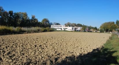 Terreno di 10.000 m² in Senigallia (60019)