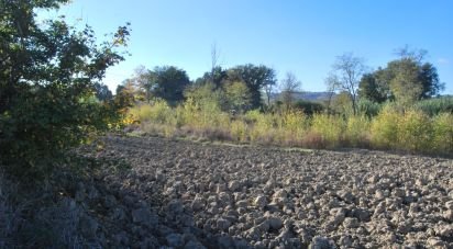 Terreno di 10.000 m² in Senigallia (60019)