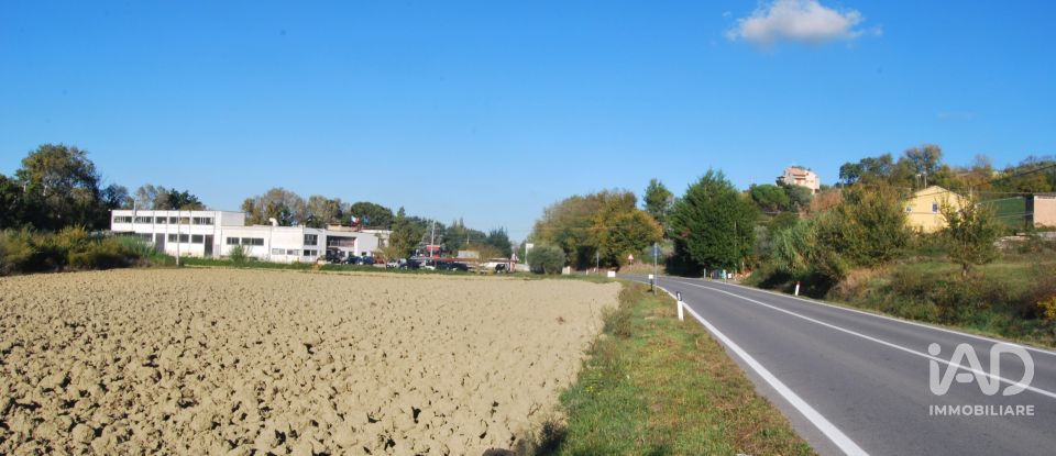 Terreno di 10.000 m² in Senigallia (60019)