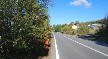 Terreno di 10.000 m² in Senigallia (60019)