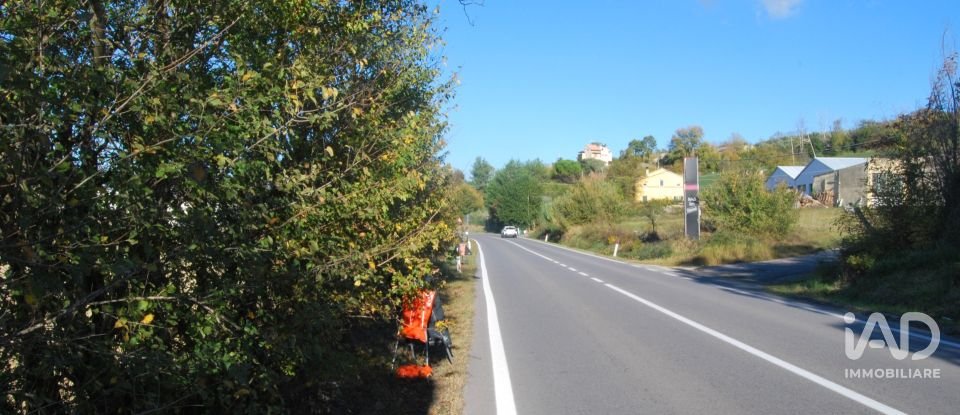 Terreno di 10.000 m² in Senigallia (60019)