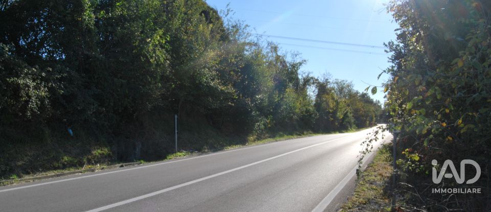 Terreno di 10.000 m² in Senigallia (60019)