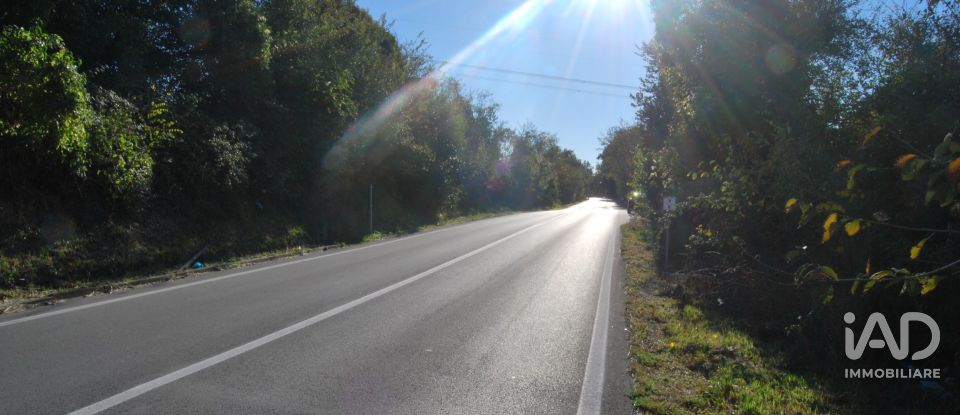 Terreno di 10.000 m² in Senigallia (60019)