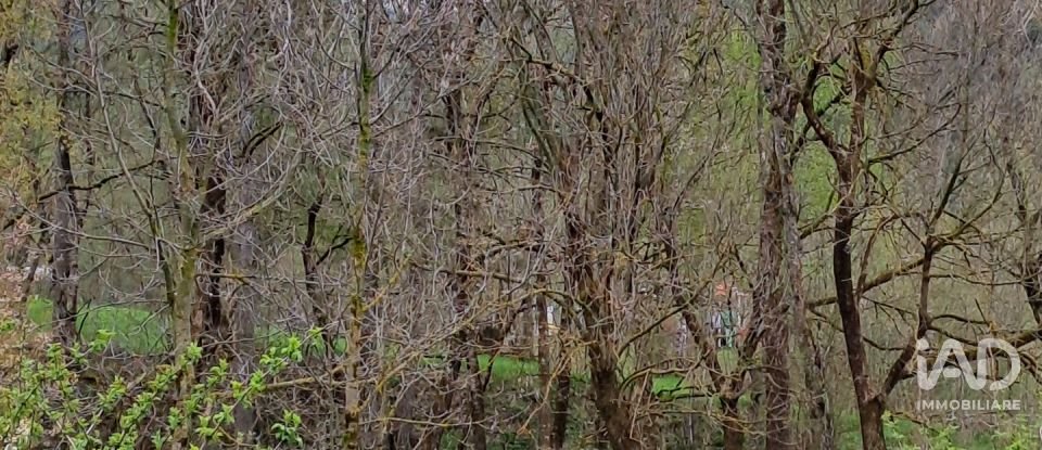 Terreno di 0 m² in Temù (25050)