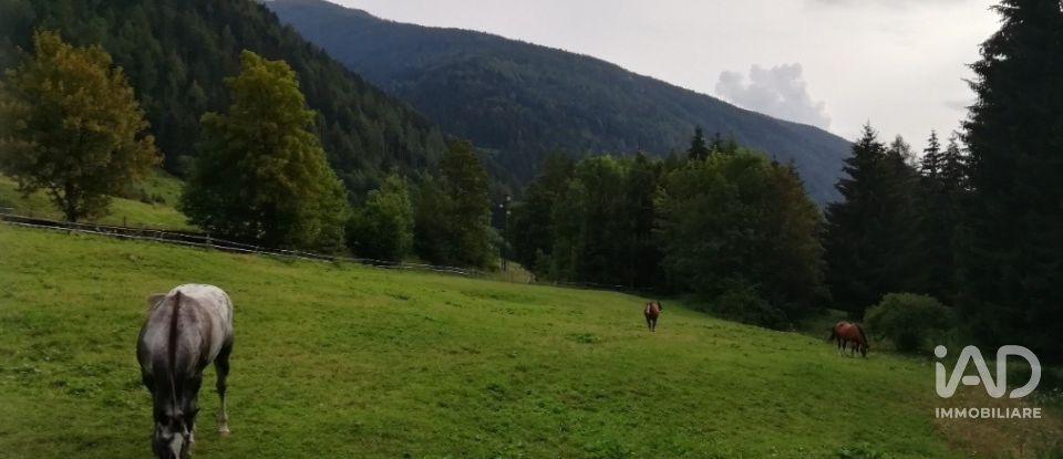 Terreno di 0 m² in Temù (25050)