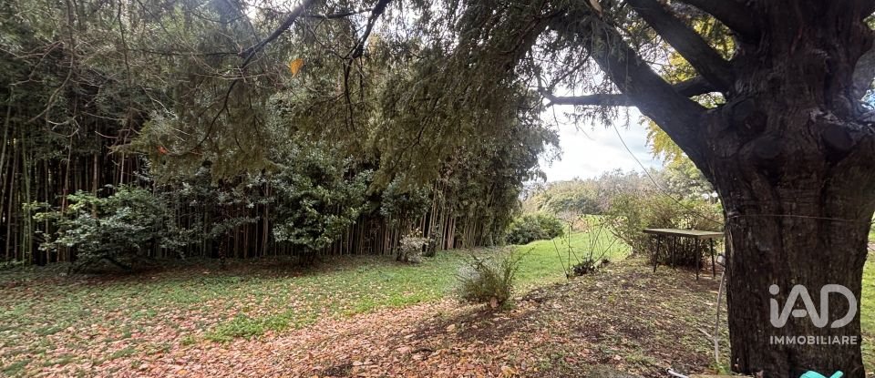 Casale 13 locali di 580 m² in San Giuliano Terme (56017)