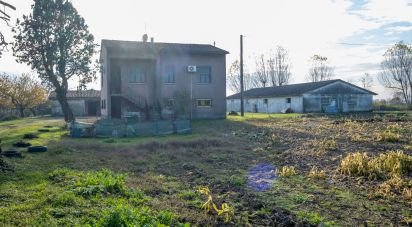 Casa indipendente / Villa 6 locali di 194 m² in Gazoldo degli Ippoliti (46040)