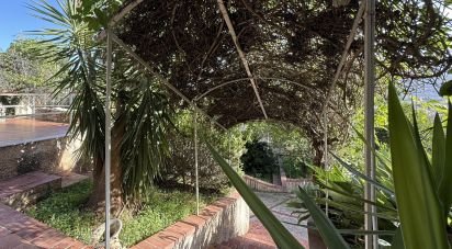 Casale 10 locali di 206 m² in Monreale (90046)