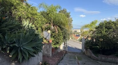 Casale 10 locali di 206 m² in Monreale (90046)