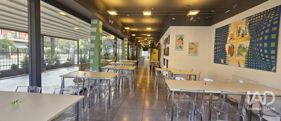 Ristorante di 150 m² in Albenga (17031)