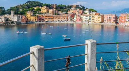Negozio / locale commerciale di 55 m² in Sestri Levante (16039)