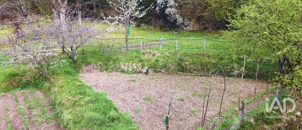 Casa indipendente / Villa 7 locali di 132 m² in Borzonasca (16041)