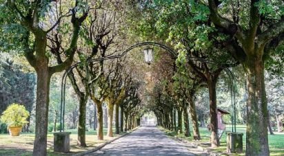 Monolocale di 36 m² a Roma (00135)