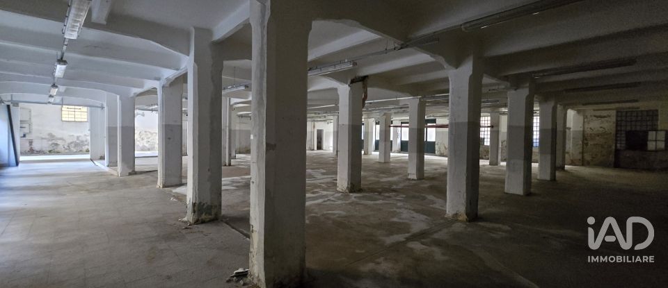 Shop / premises commercial of 1,300 m² in Genova (16152)