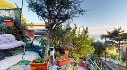 Two-room apartment of 33 m² in Arenzano (16011)