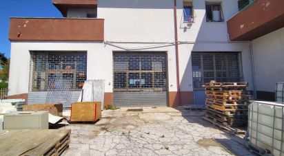 Capannone di 340 m² in Ancona (60131)