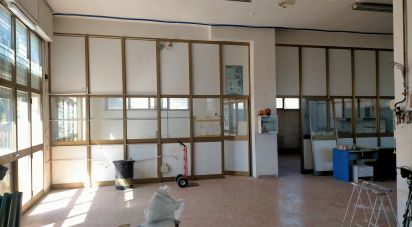 Capannone di 340 m² in Ancona (60131)