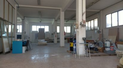 Capannone di 340 m² in Ancona (60131)