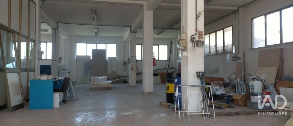Capannone di 340 m² in Ancona (60131)