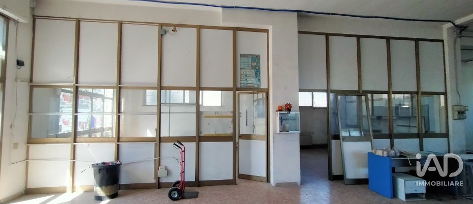 Capannone di 340 m² in Ancona (60131)