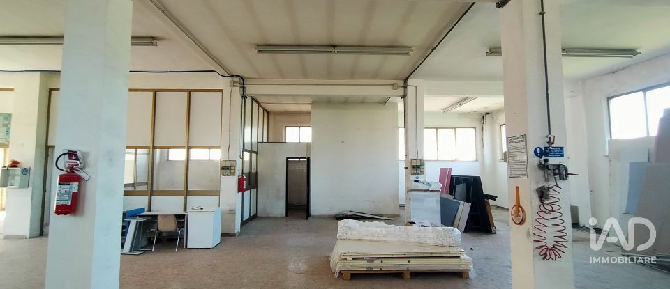 Capannone di 340 m² in Ancona (60131)