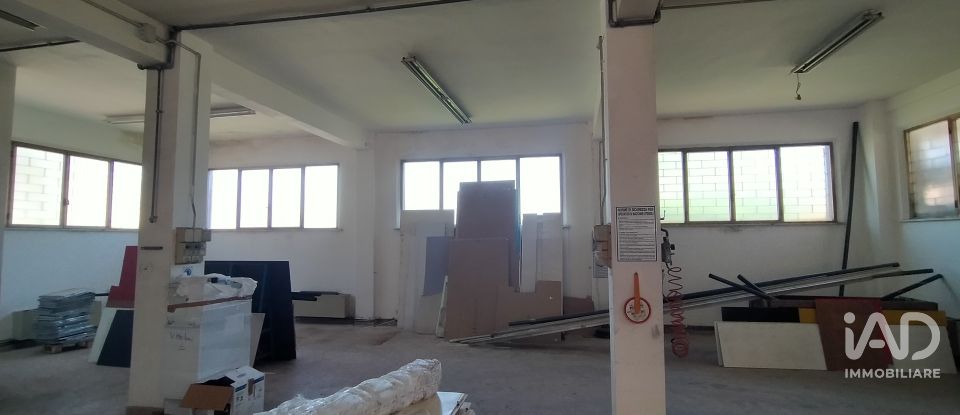 Capannone di 340 m² in Ancona (60131)